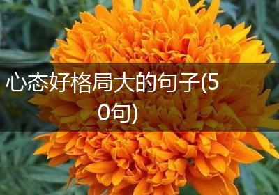 心态好格局大的句子(50句)