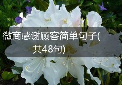 微商感谢顾客简单句子(共48句)