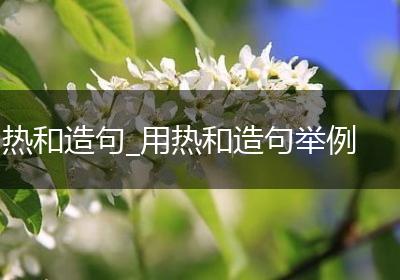 热和造句_用热和造句举例