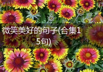 微笑美好的句子(合集15句)