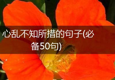 心乱不知所措的句子(必备50句)