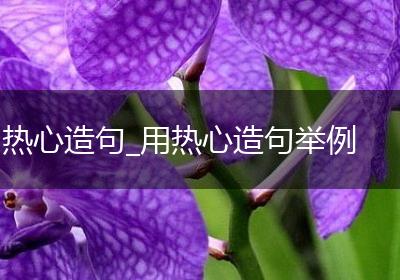 热心造句_用热心造句举例