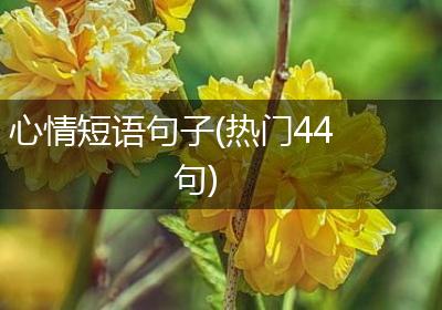 心情短语句子(热门44句)