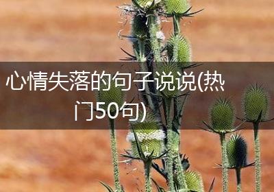 心情失落的句子说说(热门50句)