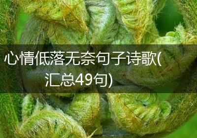 心情低落无奈句子诗歌(汇总49句)