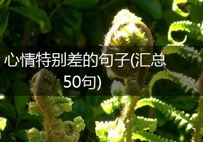 心情特别差的句子(汇总50句)
