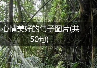 心情美好的句子图片(共50句)