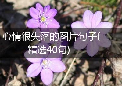 心情很失落的图片句子(精选40句)