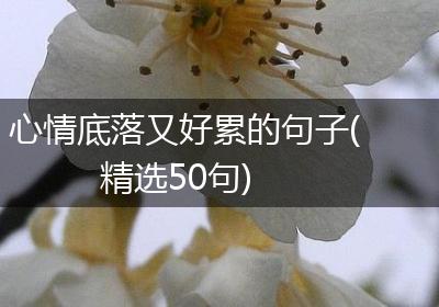 心情底落又好累的句子(精选50句)