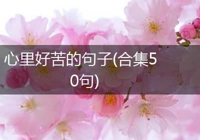 心里好苦的句子(合集50句)