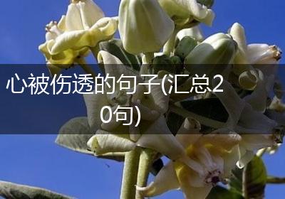 心被伤透的句子(汇总20句)