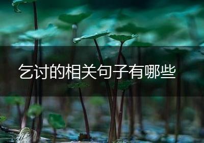 乞讨的相关句子有哪些
