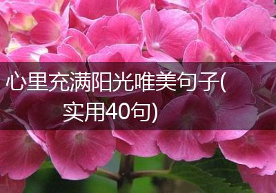 心里充满阳光唯美句子(实用40句)