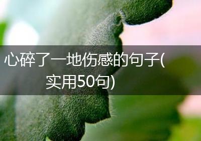 心碎了一地伤感的句子(实用50句)