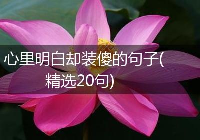 心里明白却装傻的句子(精选20句)