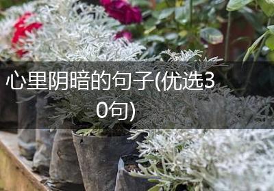 心里阴暗的句子(优选30句)