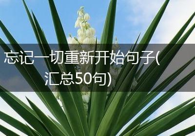 忘记一切重新开始句子(汇总50句)