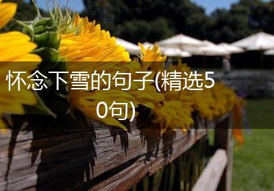 怀念下雪的句子(精选50句)