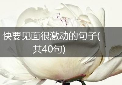 快要见面很激动的句子(共40句)