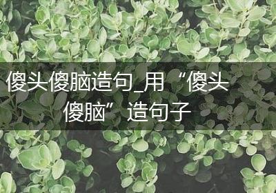 傻头傻脑造句_用“傻头傻脑”造句子