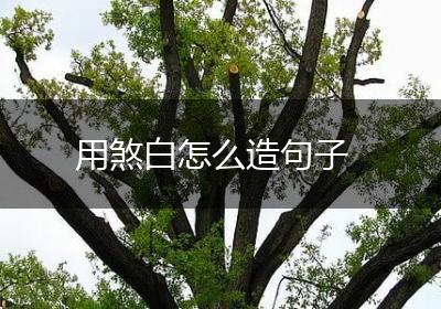 用煞白怎么造句子