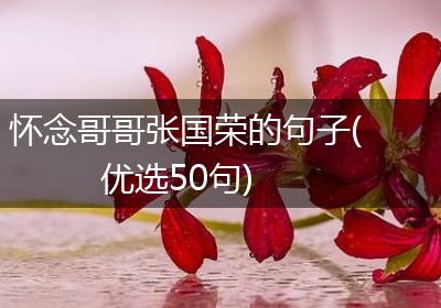 怀念哥哥张国荣的句子(优选50句)