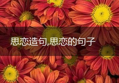 思恋造句,思恋的句子