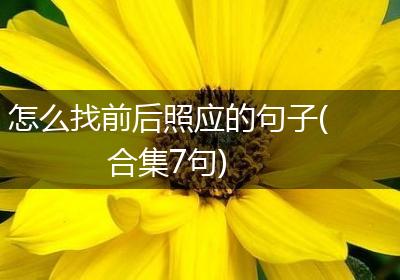 怎么找前后照应的句子(合集7句)