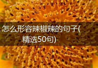 怎么形容辣椒辣的句子(精选50句)