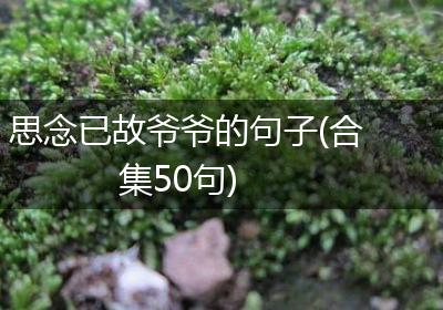 思念已故爷爷的句子(合集50句)