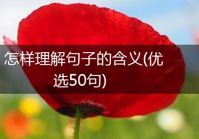 怎样理解句子的含义(优选50句)
