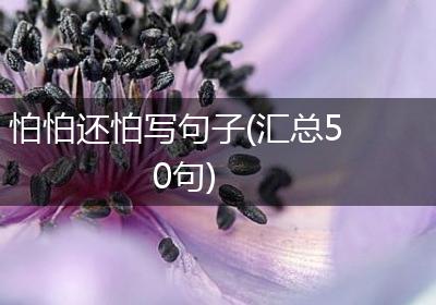 怕怕还怕写句子(汇总50句)
