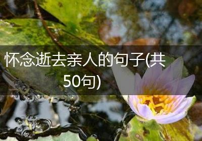怀念逝去亲人的句子(共50句)