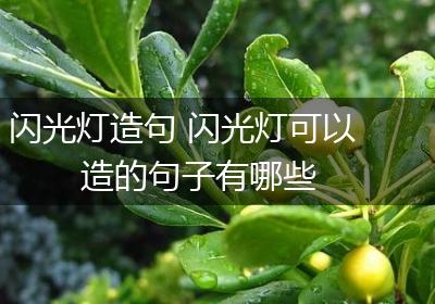 闪光灯造句 闪光灯可以造的句子有哪些