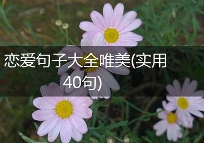 恋爱句子大全唯美(实用40句)