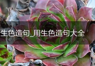 生色造句_用生色造句大全