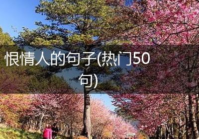 恨情人的句子(热门50句)