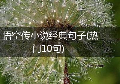 悟空传小说经典句子(热门10句)