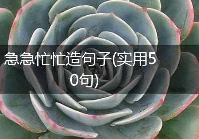 急急忙忙造句子(实用50句)