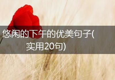 悠闲的下午的优美句子(实用20句)