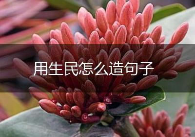 用生民怎么造句子