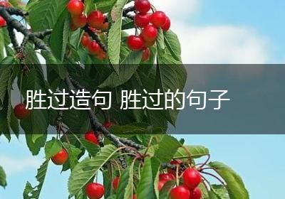 胜过造句 胜过的句子