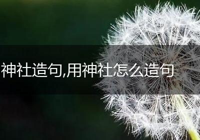 神社造句,用神社怎么造句