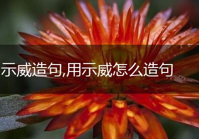 示威造句,用示威怎么造句