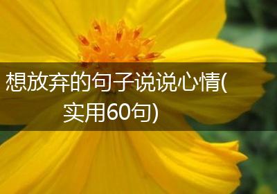 想放弃的句子说说心情(实用60句)