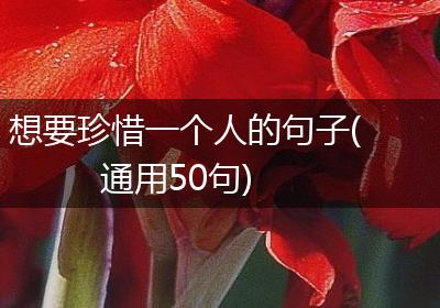 想要珍惜一个人的句子(通用50句)