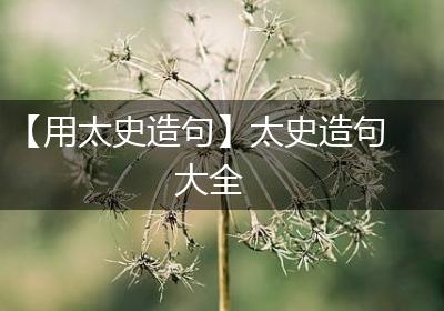 【用太史造句】太史造句大全