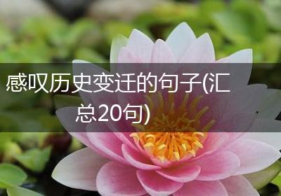 感叹历史变迁的句子(汇总20句)