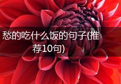 愁的吃什么饭的句子(推荐10句)
