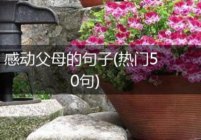感动父母的句子(热门50句)